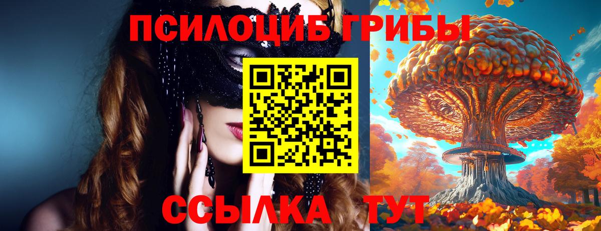 Кузнецк  Галлюциногенные грибы Magic Shrooms  Вход с VPN  закладка  Галлюциногенные грибы мухоморы 